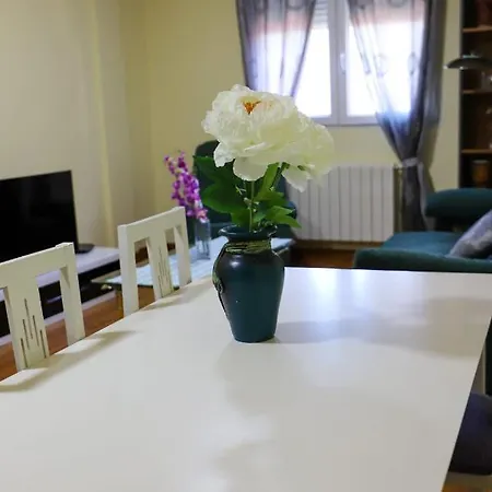 Apartment Casa Mj *