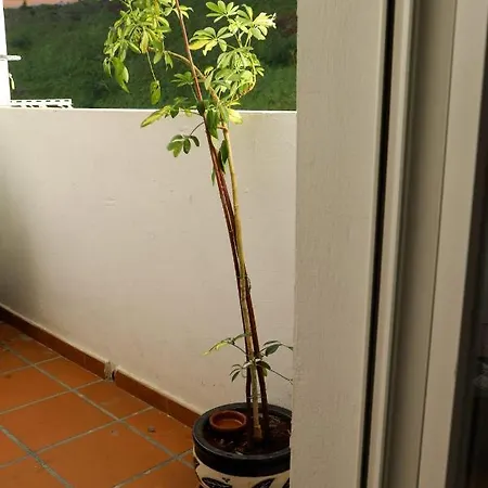 Apartment Casa Mj Bejar